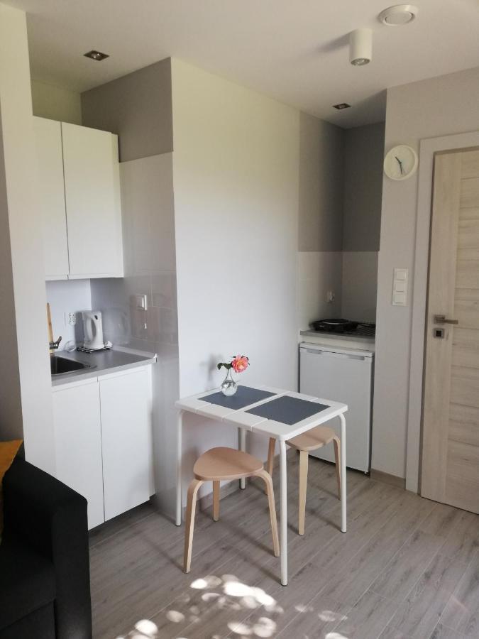 Apartamento Studio Beskidy Żywiec Exterior foto