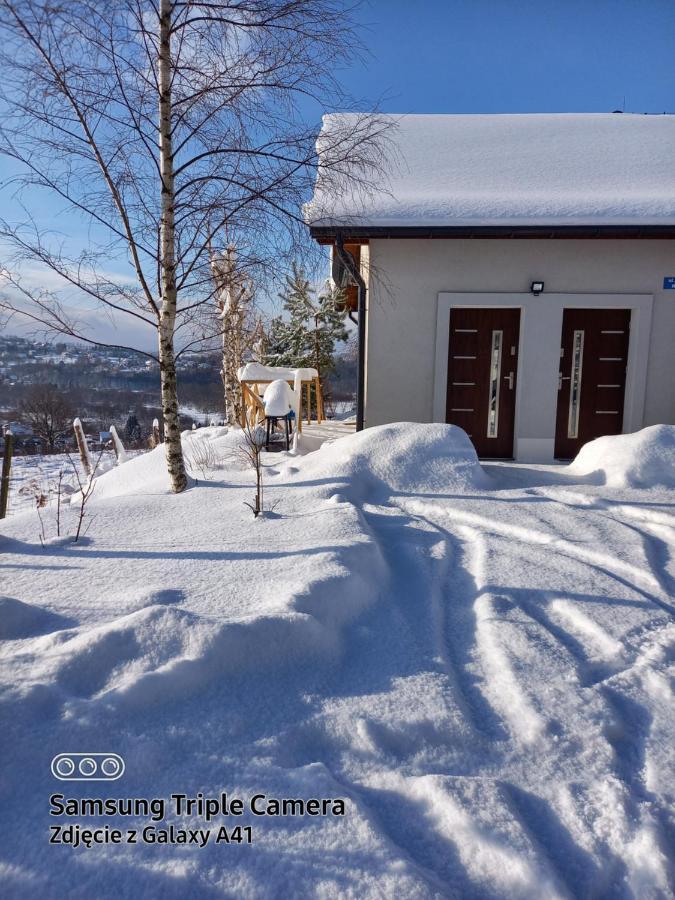 Apartamento Studio Beskidy Żywiec Exterior foto